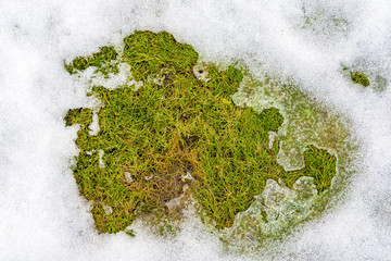 texture in the  close-up snow on the grass