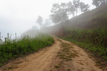 Mountain valley road landscape