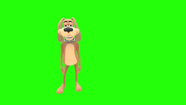 Happy funny silly animated cartoon dog hound canine pooch mutt character reacts looking at shoulders multiple times in front of green screen background