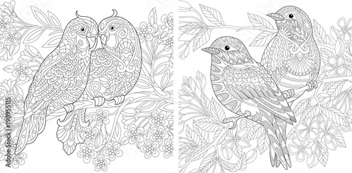 680 Top Budgie Bird Coloring Pages Pictures