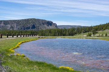 Obraz premium Pretty Hot Water