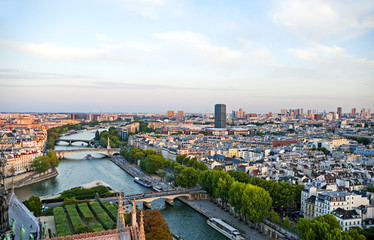 Looking over Paris from the Notre Dame Cathedral