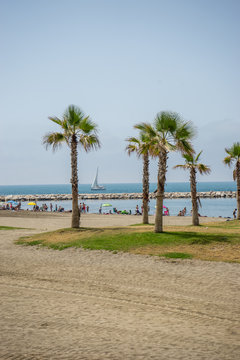 Tall palm trees along the Malaguera beach with ocean in the background in Malaga, Spain, Europe