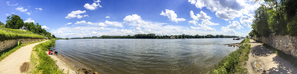 Fototapeta na wymiar Rheinpanorama bei Eltville am Rhein, Rheingau 