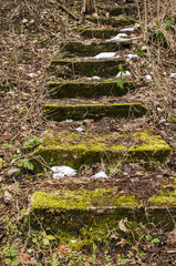 Overgrown with green moss abandoned stone steps in woods in winter