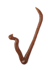 Yes tick sign isolated