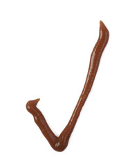 Yes tick sign isolated