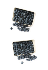 Box of blueberries isolated