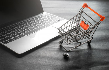 broken shopping cart wheel with laptop © fotobieshutterb