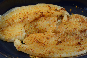 Close up of fresh raw tilapia fish fillets prepared for cooking with spicy rub of chili powder, garlic and cumin in blue dish