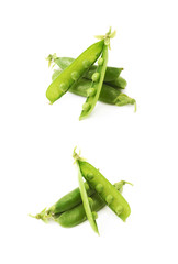 Green pea bean isolated