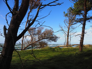 Darßer Weststrand, Nationalpark Vorpommersche Boddenlandschaft, Mecklenburg Vorpommern, Deutschland