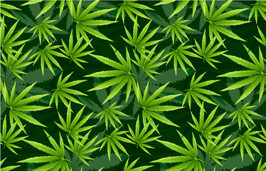 Fototapeta premium Seamless pattern marihuana leaf herb narcotic textile.