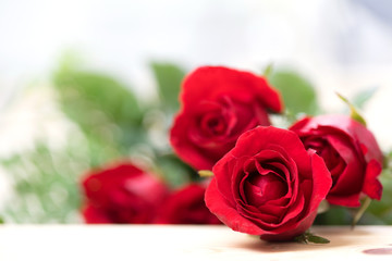Rose petals for valentines day.