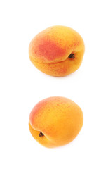 Single yellow plum isolated