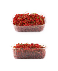 Plastic box of red currant isolated