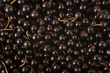 Surface coated with black currant