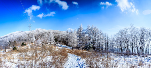Obraz premium Beautiful nature scenes at winter