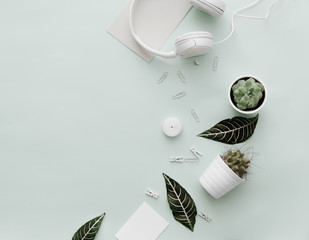 Modern Pastel Hipster Flat Lay With Pots with Cactus, headphones, botanical elements. Top view