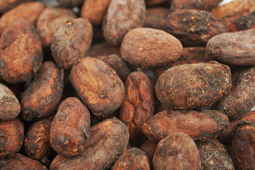 Cocoa beans background composition
