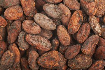 Cocoa beans background composition