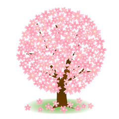 桜　春　花　アイコン