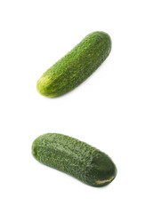 Fresh green cucumber isolated