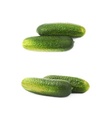 Fresh green cucumber isolated