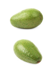 Avocado fruit isolated
