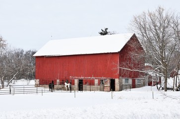 Red Barn in Winter