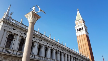 Fototapeta na wymiar Place Saint-Marc, Venise, Italie 