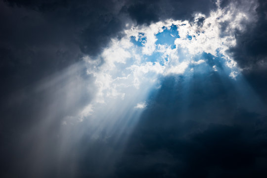 119 Best ヤコブのはしご Images Stock Photos Vectors Adobe Stock