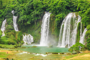 Fototapete bei efototapeten.de bestellen   