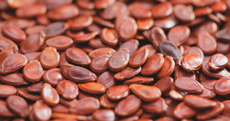 Red melon seed