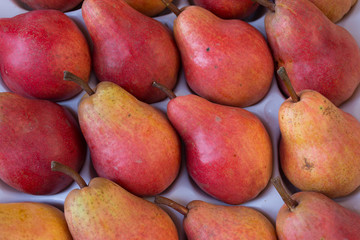 Ripe Forelle pears that are red and gold displayed in a plastic container and for sale in a farmers' market.