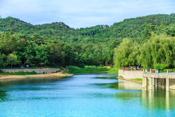 Fototapeta premium Park Lake