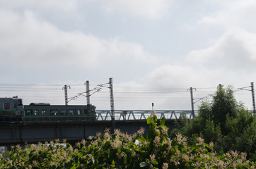 Obraz premium 川辺の風景