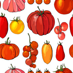 Seamless pattern with different vegetables on white. Various sorts of tomato