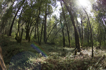 Santuario Piedra herrada