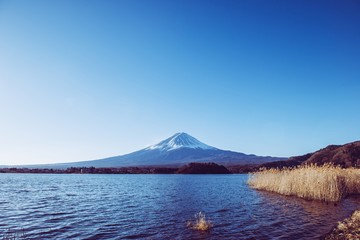 Fototapeta premium 富士山と河口湖