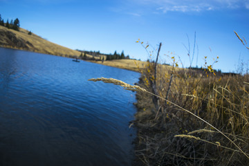 Edith Lake in Summer