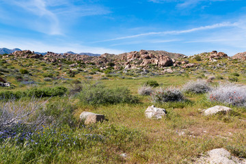 Fototapeta na wymiar Anza-Borrego Desert State Park, California's largest state park, located in eastern San Diego County.