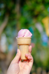 Ice cream made from seasonal fruits in a cone