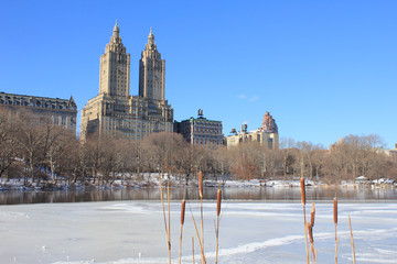 Frozen Lake in Manhattan