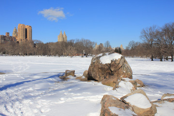 Snow-covered Meadow in Manhattan