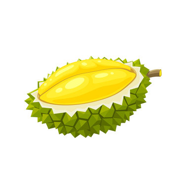1 903 Best Durian Cartoon Images Stock Photos Vectors Adobe Stock We have a massive amount of desktop and mobile if you're looking for the best hd cartoon wallpaper then wallpapertag is the place to be. 1 903 best durian cartoon images stock