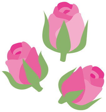 ダマスクローズ Images Browse 78 Stock Photos Vectors And Video Adobe Stock ダマスクローズ Images Browse 78 Stock Photos Vectors And Video Adobe Stock