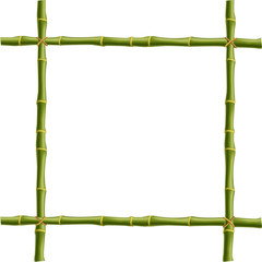  frame made of green bamboo sticks  bounded with rope