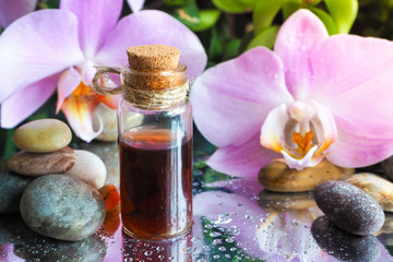 Fototapeta na wymiar Fragrances Orchid oil. Natural massage oil.