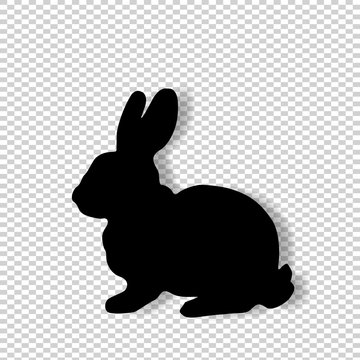 Black profile silhouette of fluffy rabbit  isolated on transparent